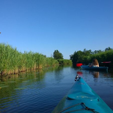 B&B De Zilverreiger Belt-Schutsloot 外观 照片